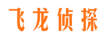 申扎侦探